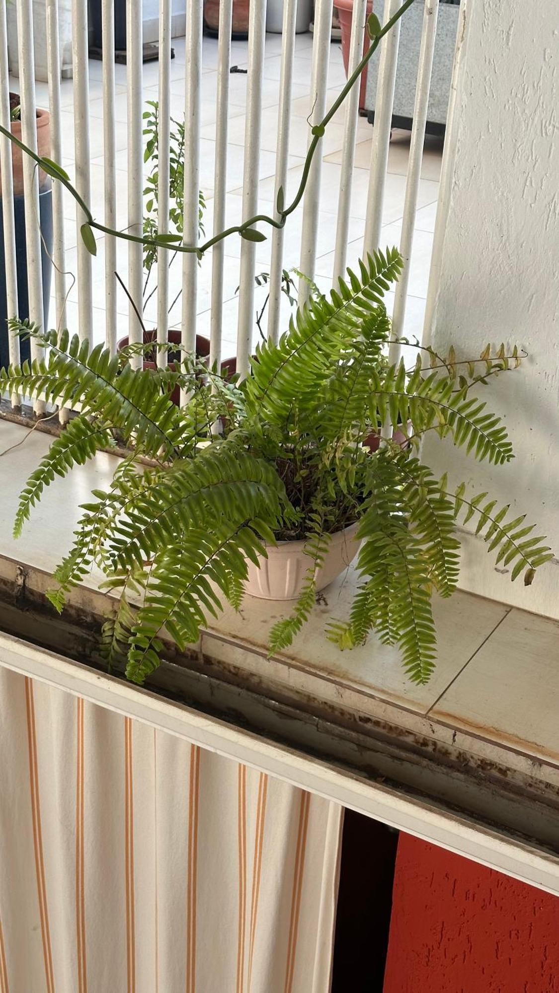 לינה וארוחת בוקר Núcleo Bandeirante Casa Lumen מראה חיצוני תמונה